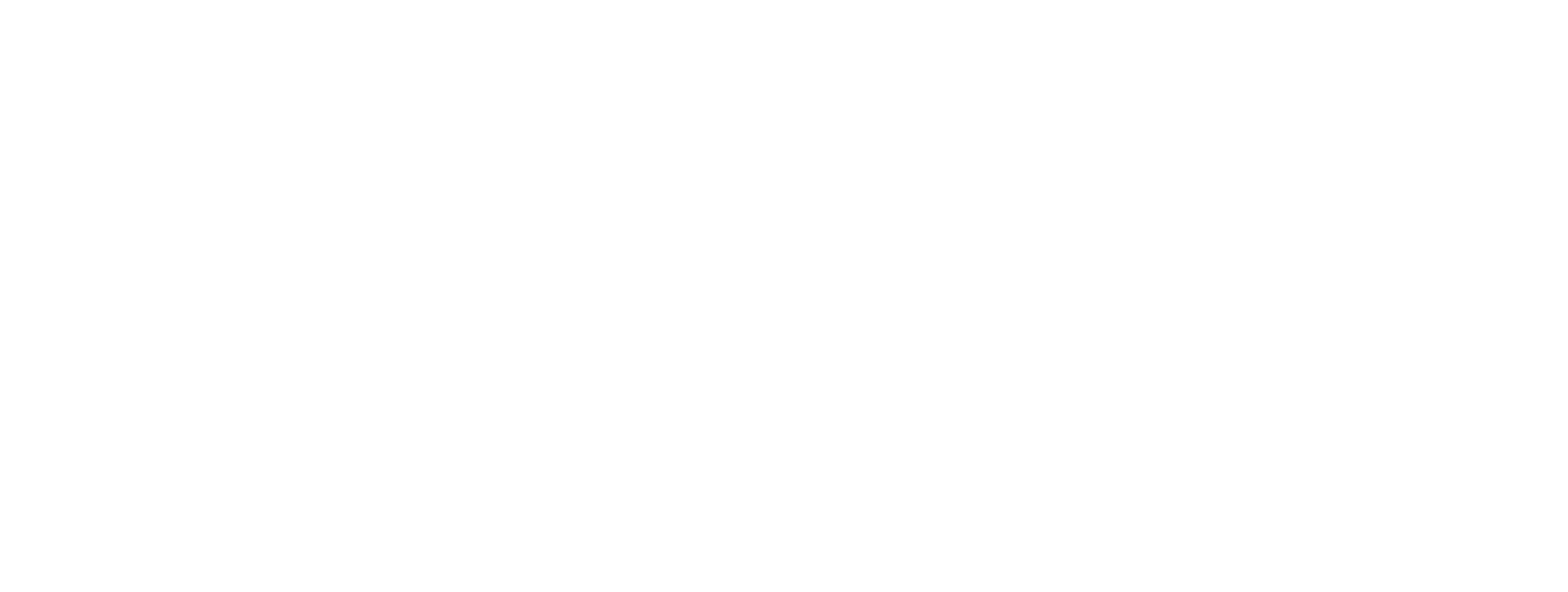 VANITY GROUP logo type white